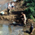 Abfangen der Fische aus dem alten Flussbett der W&uuml;mme