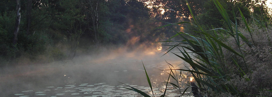 images/bg_kattensteertsee.jpg