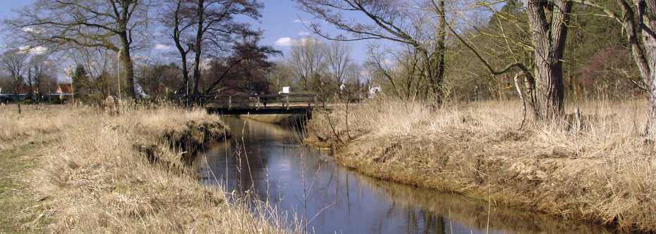 images/bg_rodaubruecke.jpg