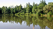 Am Hoheneschsee