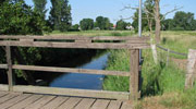 Rodau und Wiedau