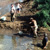 Abfangen der Fische aus dem alten Flussbett der Wümme