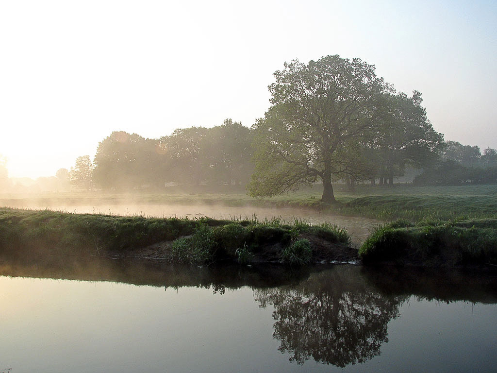Nebelmorgen an der Wümme